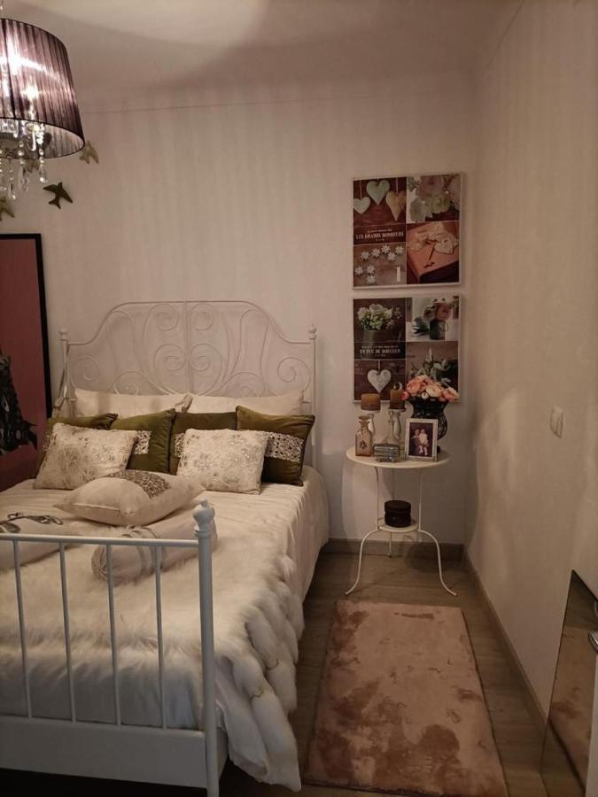 Holiday home Akademia House - Santarem